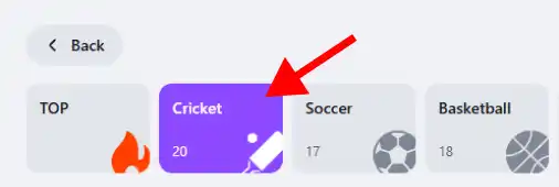 Entering a bet amount in Lucky Star betslip — Set your stake and aim for big wins!